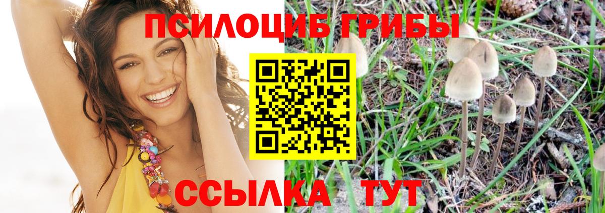 Советская Гавань  Псилоцибиновые грибы MAGIC MUSHROOMS  Вход с VPN  Псилоцибиновые грибы Magic Shrooms 