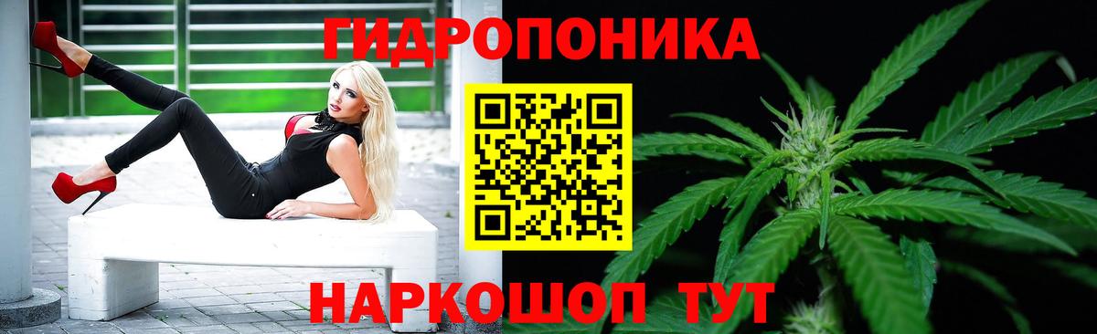 Бошки Шишки VHQ Советская Гавань